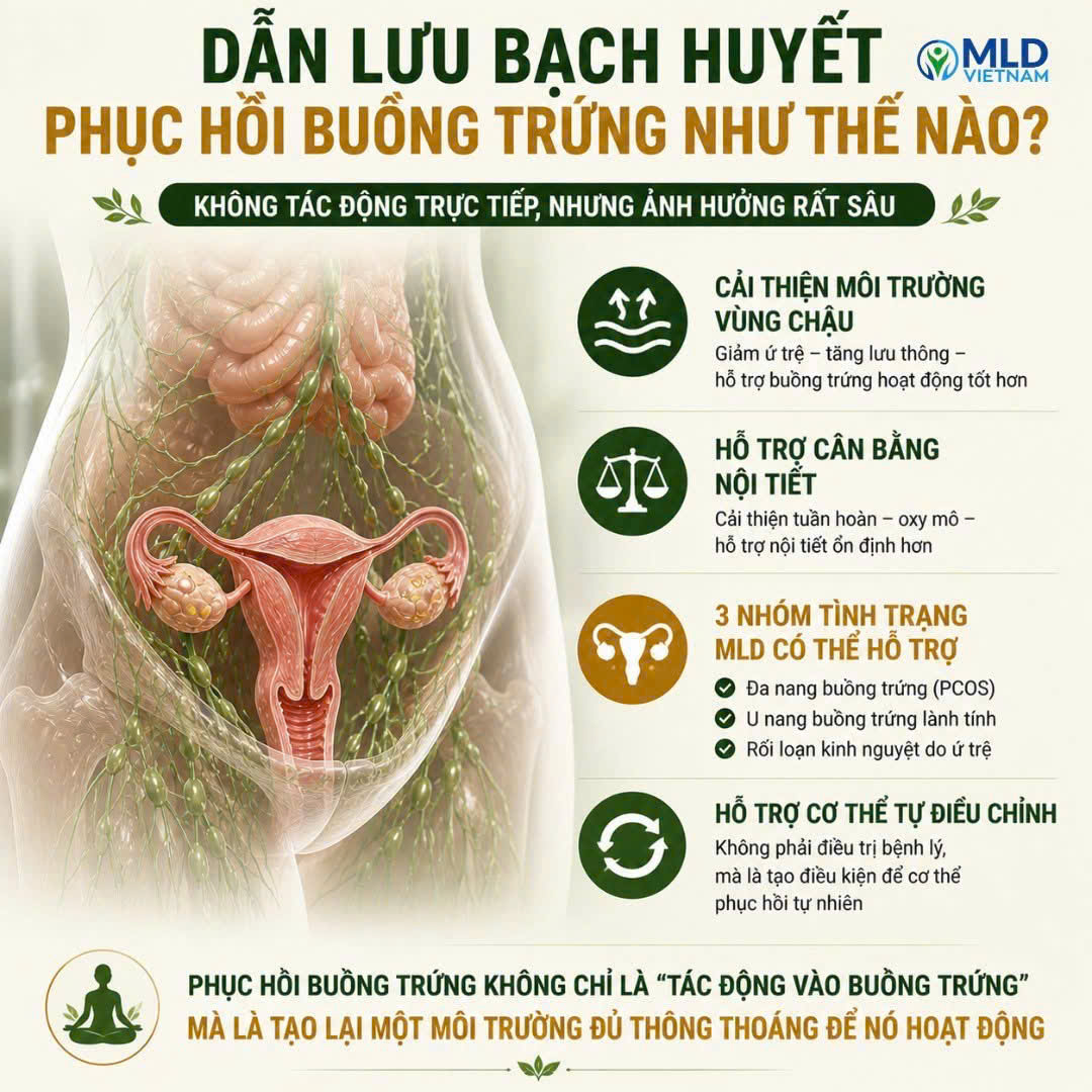 Dẫn lưu bạch huyết phục hồi buồng trứng như thế nào?