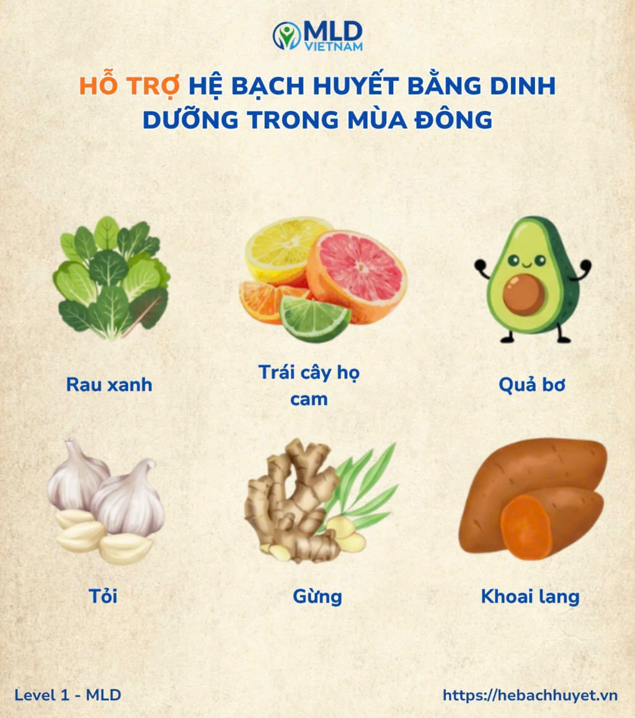 Những loại thực phẩm rất tốt cho hệ bạch huyết vào mùa đông!