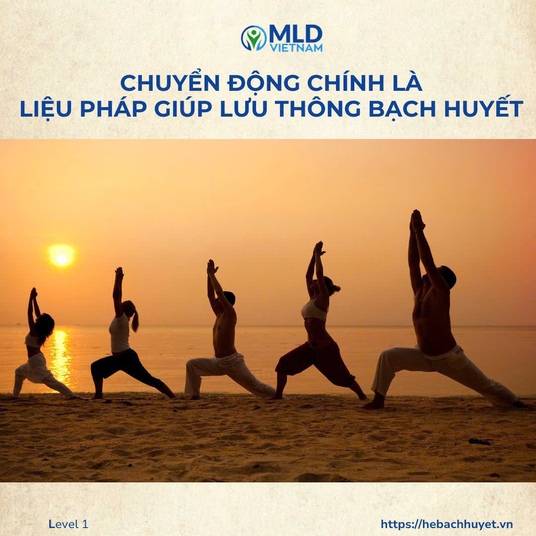 “Vì sao chuyển động nhẹ mỗi ngày lại là ‘liệu pháp vàng’ cho hệ bạch huyết?”