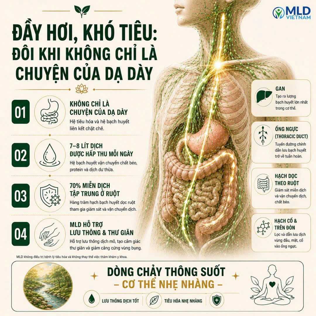 Đầy hơi, khó tiêu: đôi khi không chỉ là chuyện của dạ dày