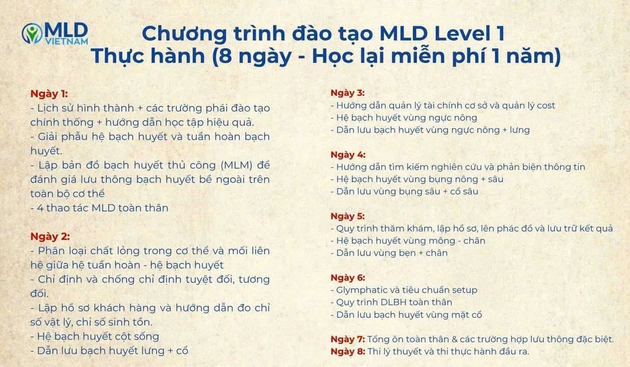 Khóa học Level 1- Chương trình MLD cơ bản bởi MLD Việt Nam