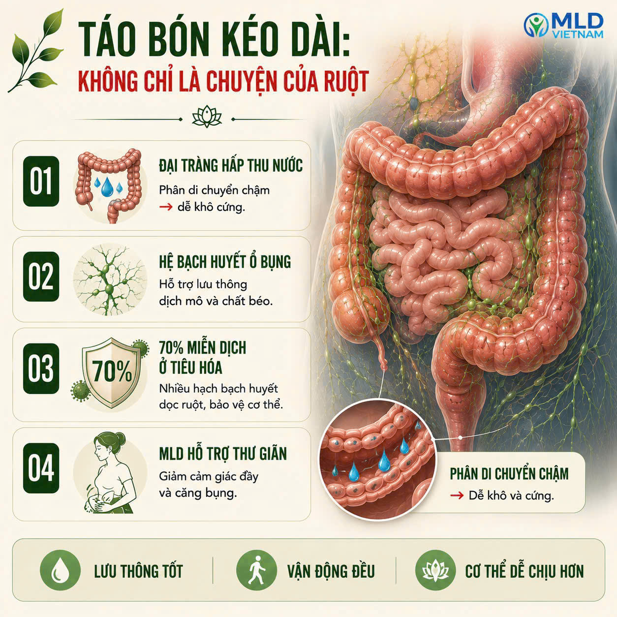 Táo bón kéo dài, chuyện gì đang xảy ra ?