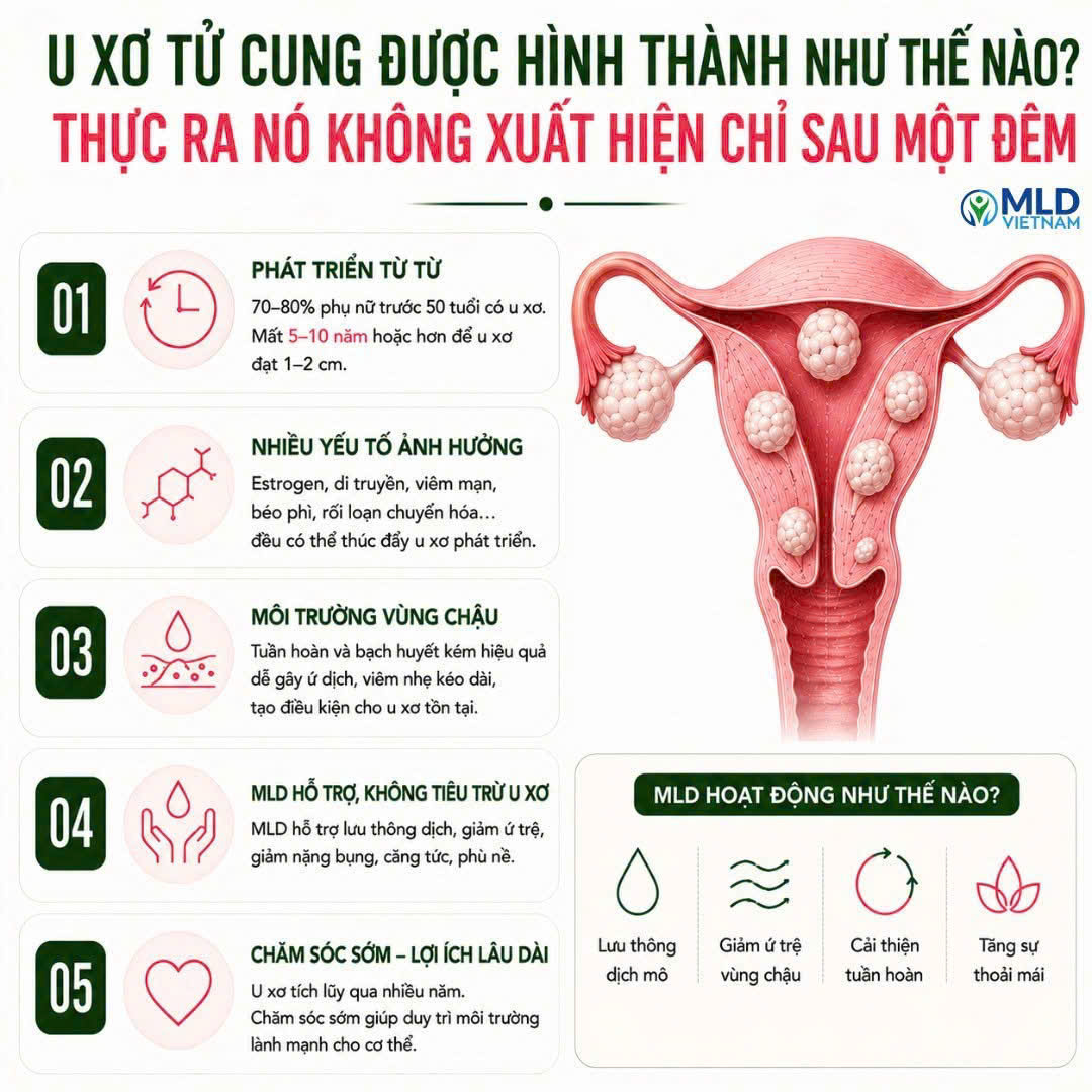 U xơ tử cung được hình thành như thế nào? - Thực ra nó không xuất hiện chỉ sau một đêm