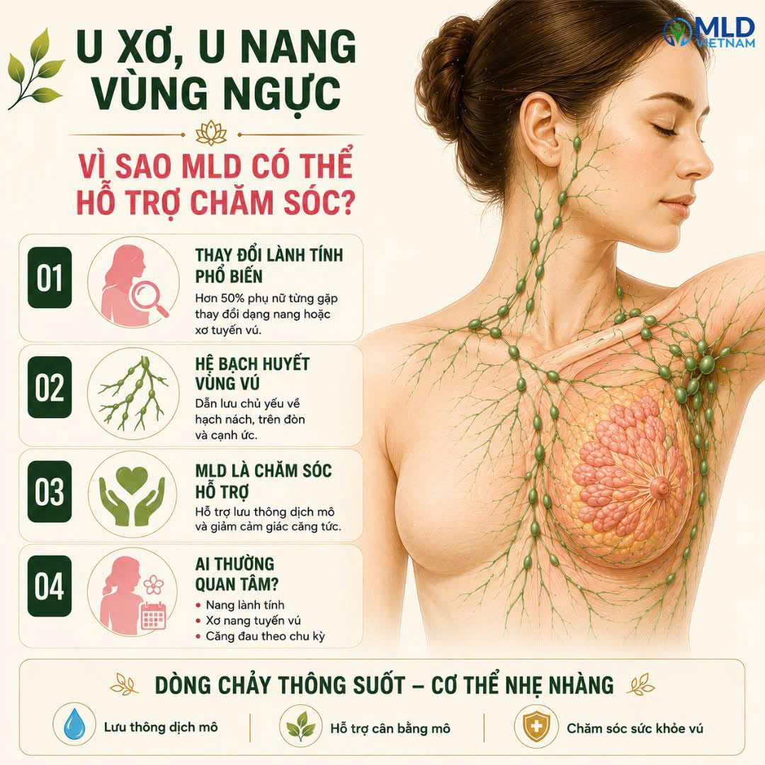 U xơ, U nang vùng ngực: Vì sao dẫn lưu bạch huyết có thể hỗ trợ chăm sóc?