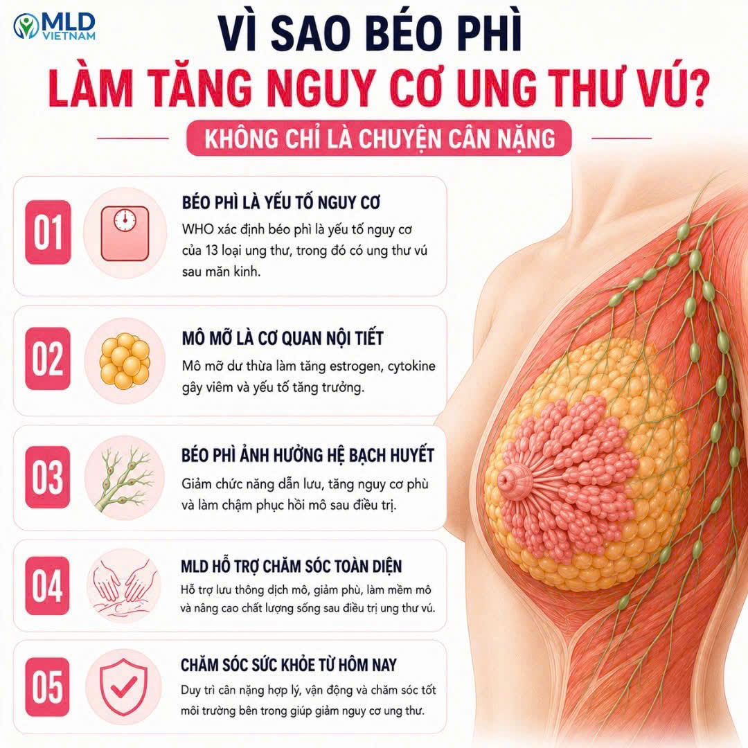 Vì sao béo phì làm tăng nguy cơ ung thư vú? – không chỈ là chuyện cân nặng