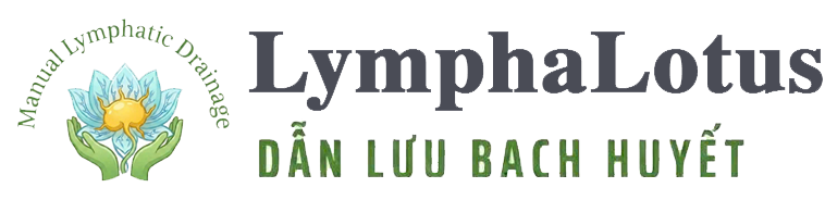 Dẫn lưu bạch huyết (MLD) - Chăm Sóc Hệ Bạch Huyết